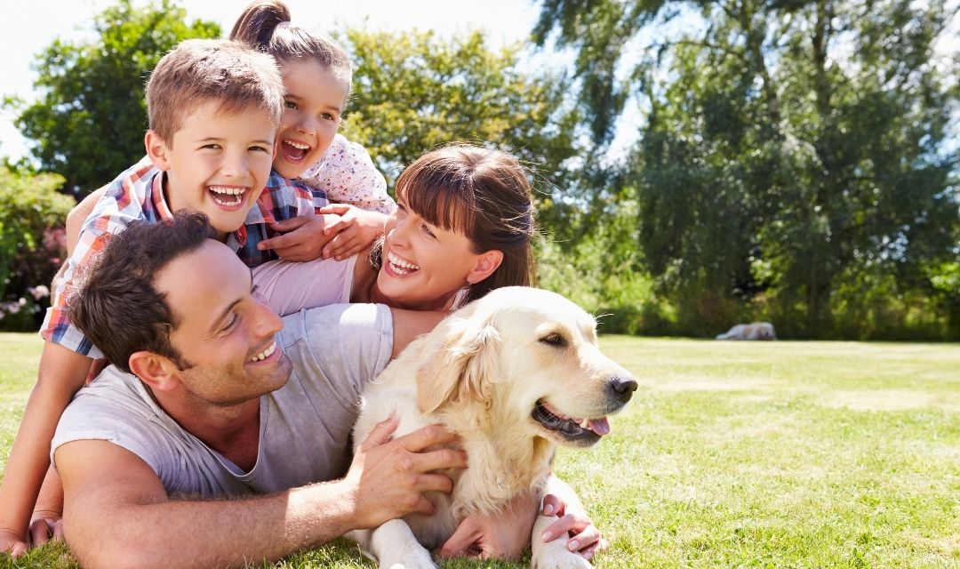 familia fazendo carinho em cachorro